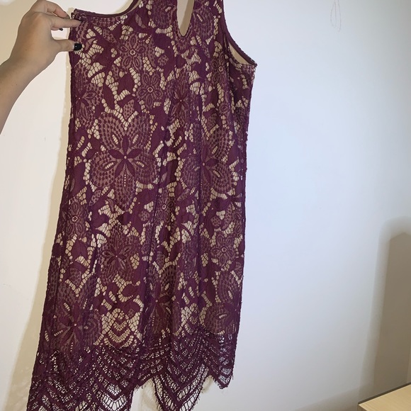 XS express lace dress! - Picture 5 of 5